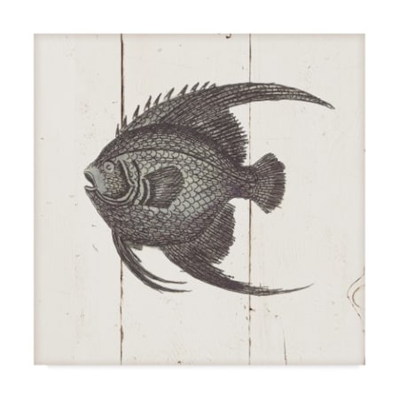 Wild Apple Portfolio 'Fish Sketches IV Shiplap' Canvas Art,14x14